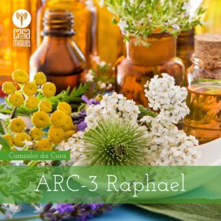 ARC-3: Raphael